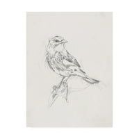 Zaštitni znak likovna umjetnost 'ptičja studija I' platna umjetnost Ethana Harpera