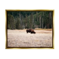 Stupell bizon ispaša seoska zemlja pejzažni životinje i insekti fotografija zlatni plutač uokviren umjetnički