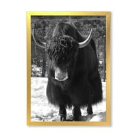 Designart 'Portret jednobojnog divljeg bika u zimskoj šumi I' Farmhouse uokvireni umjetnički tisak
