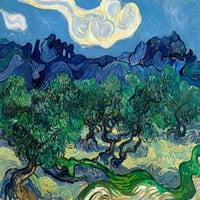 Tiskanje plakata maslina Vincent van Gogh