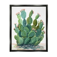 Studell Botanička pustinja kaktus botanička i cvjetna slika Kaktus BOTANICALNI I CLORALNI SLIKA