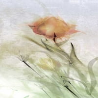 Tulip Breeze I Print plakata Mike Calascibetta