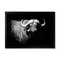 DesignArt 'Crno -bijeli portret Buffalo I' Farmhouse uokvireni umjetnički tisak