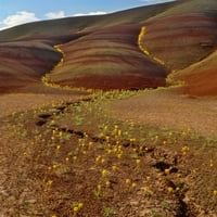 Oslikana brda, žute pčelinje biljke Stevea Terrilla