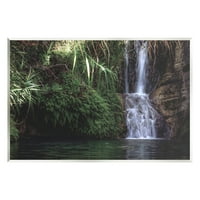 Stupell Industries mirni vodopad Okoliš prašume Okoliš za čišćenje fotografija fotografija Umjetnost Umjetnička