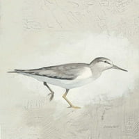 Morske ptice III od Kathrine Lovell