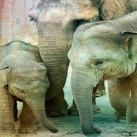 Plakat obitelji slonova Allena Kimberleeja