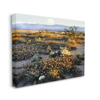 Mountain View pustinjska vegetacijski krajolik galerija fotografija omotana platno print zidna umjetnost
