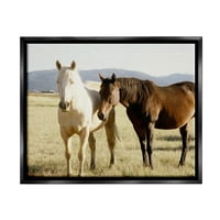 Stupell seoski konji životinja priroda fotografija životinje i insekti fotografija crni plutač uokviren umjetnički