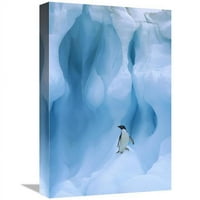 u. Adelie Penguin na Icebergu, Južni Shetland Islands, Antarctic Peninsula Art Print - Colin Monteath