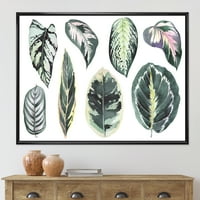 Lišće tropske kalate na bijelom uokvirenom slikarskom platnu umjetnički tisak